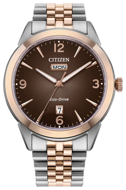 Citizen Citizen 17691418 kol saati