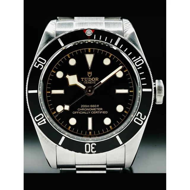 Tudor Black Bay Black Bezel Stainless Steel 210000038415 kol saati