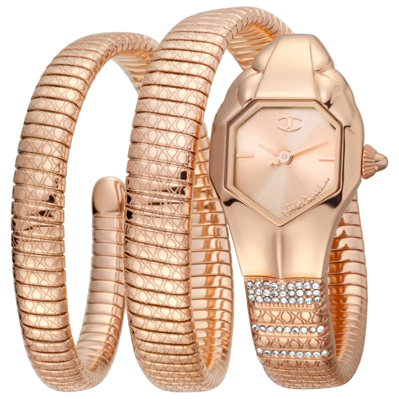 Just Cavalli Watch JC1L112M0035 kol saati