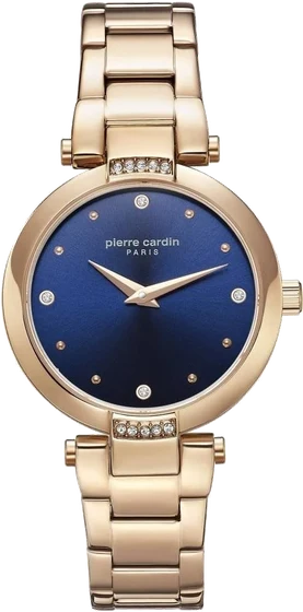 Pierre Cardin 902302F10 kol saati