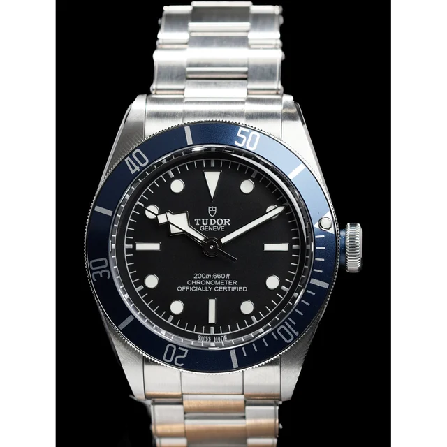 Tudor Black Bay Heritage Stainless Steel 41mm 210009N30089 kol saati