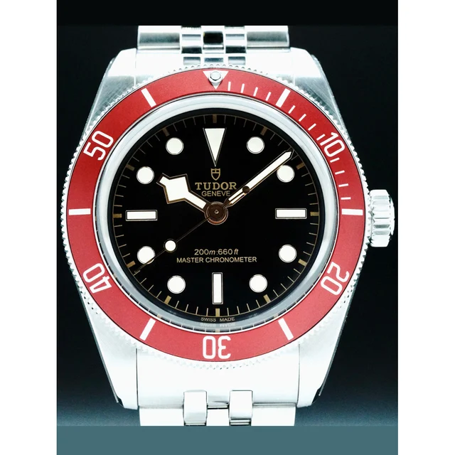 Tudor Black Bay Stainless Steel POC210000082282 kol saati