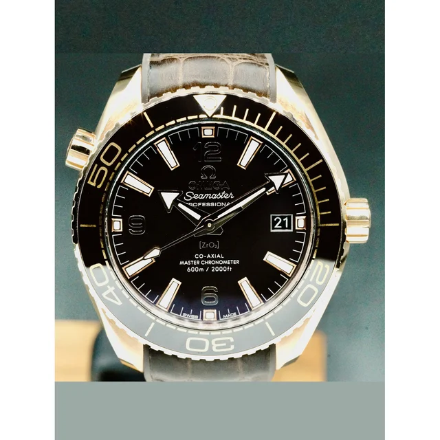 OMEGA Seamaster Planet Ocean 210000044241 kol saati