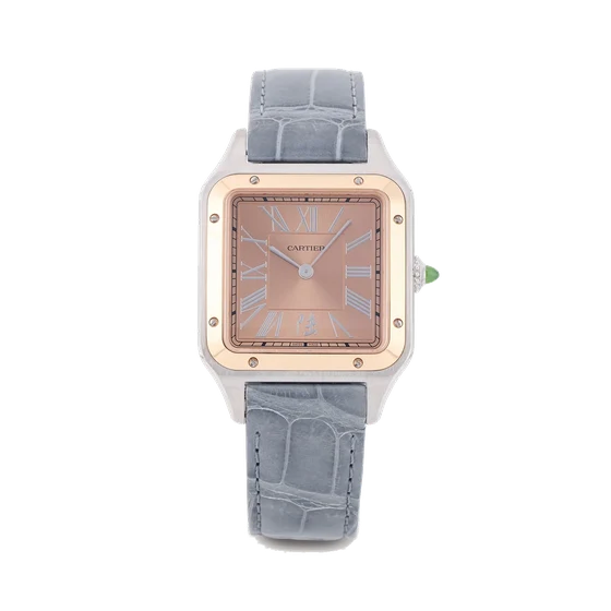 Cartier CARTIER, REF. W2SA0027 4298, SANTOS DUMONT, LIMITED EDITION OF 300 PIECES, 18K PIN