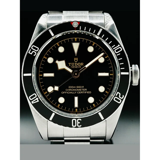 Tudor Black Bay Black Bezel Stainless Steel 210000066779 kol saati