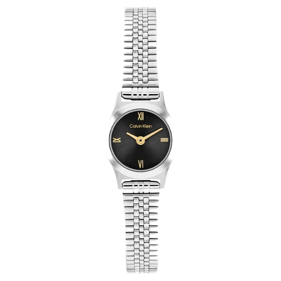 Calvin Klein CK Contemporary CK25100200 kol saati