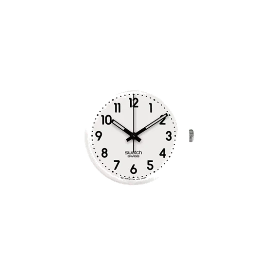 Swatch SO28W107-S14 kol saati