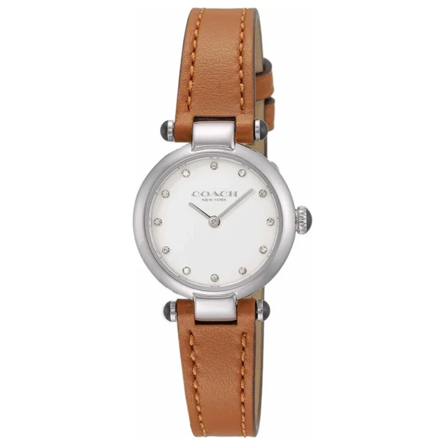 Coach Cary Watch 14504016 kol saati