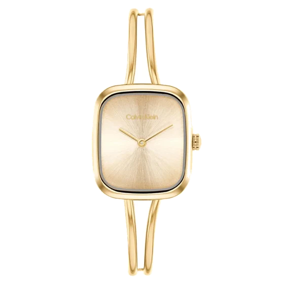 Calvin Klein CK Adore CK25100132 kol saati