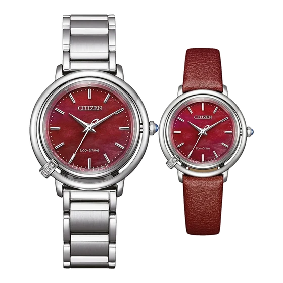 Citizen Yedek Kayışlı EM1090-78X kol saati