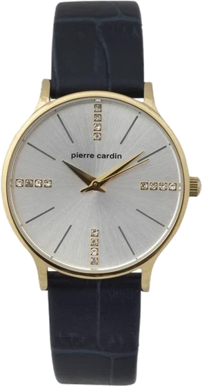 Pierre Cardin 902202F03 kol saati