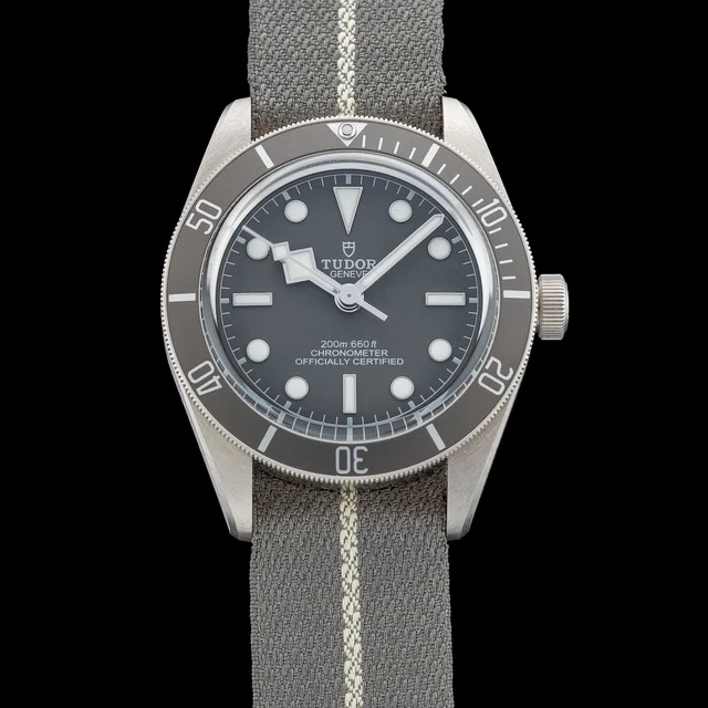 Tudor Black Bay Fifty-Eight M79010SG-0002 210009N41603 kol saati