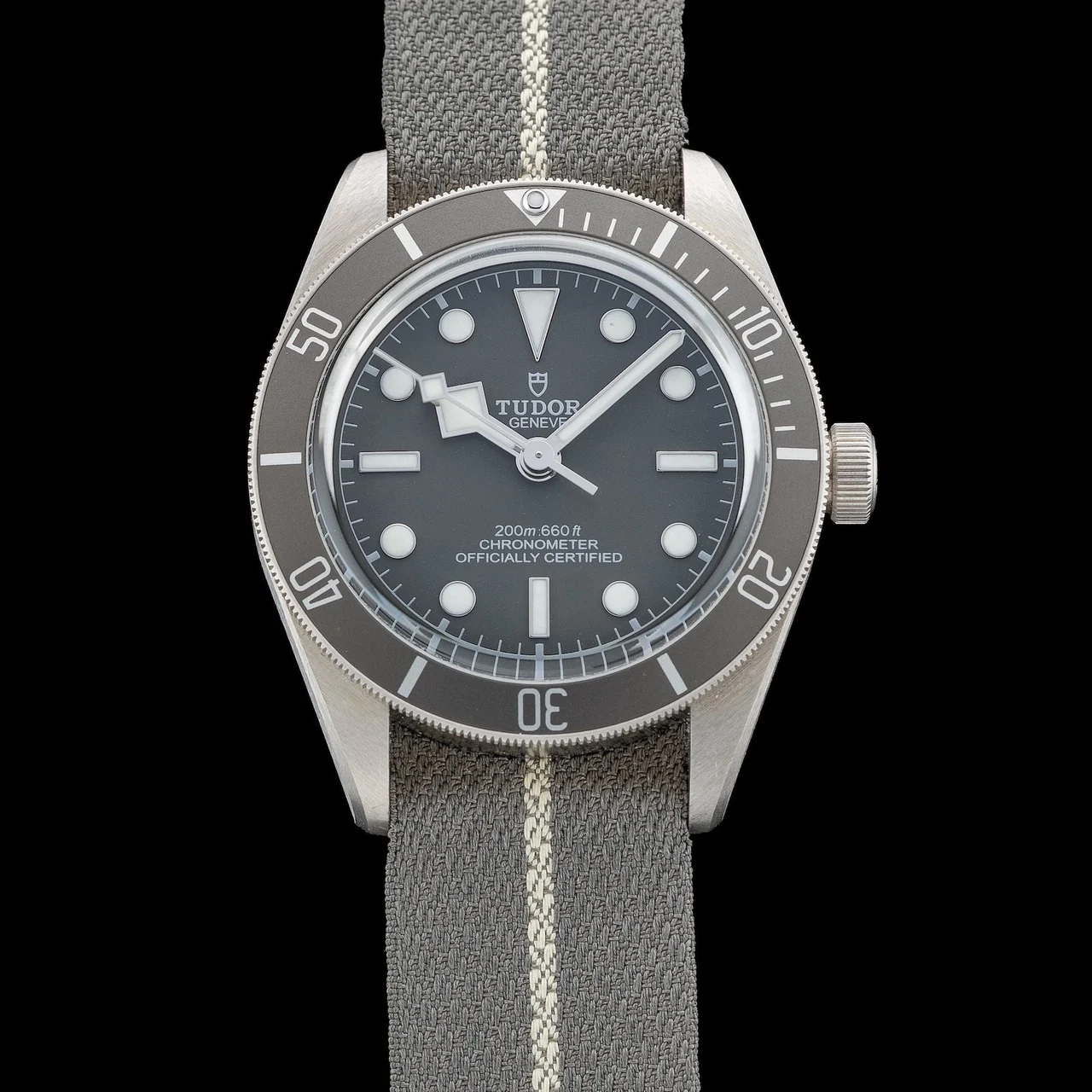 Tudor Black Bay Fifty-Eight M79010SG-0002 210009N41603 39 mm kol saati