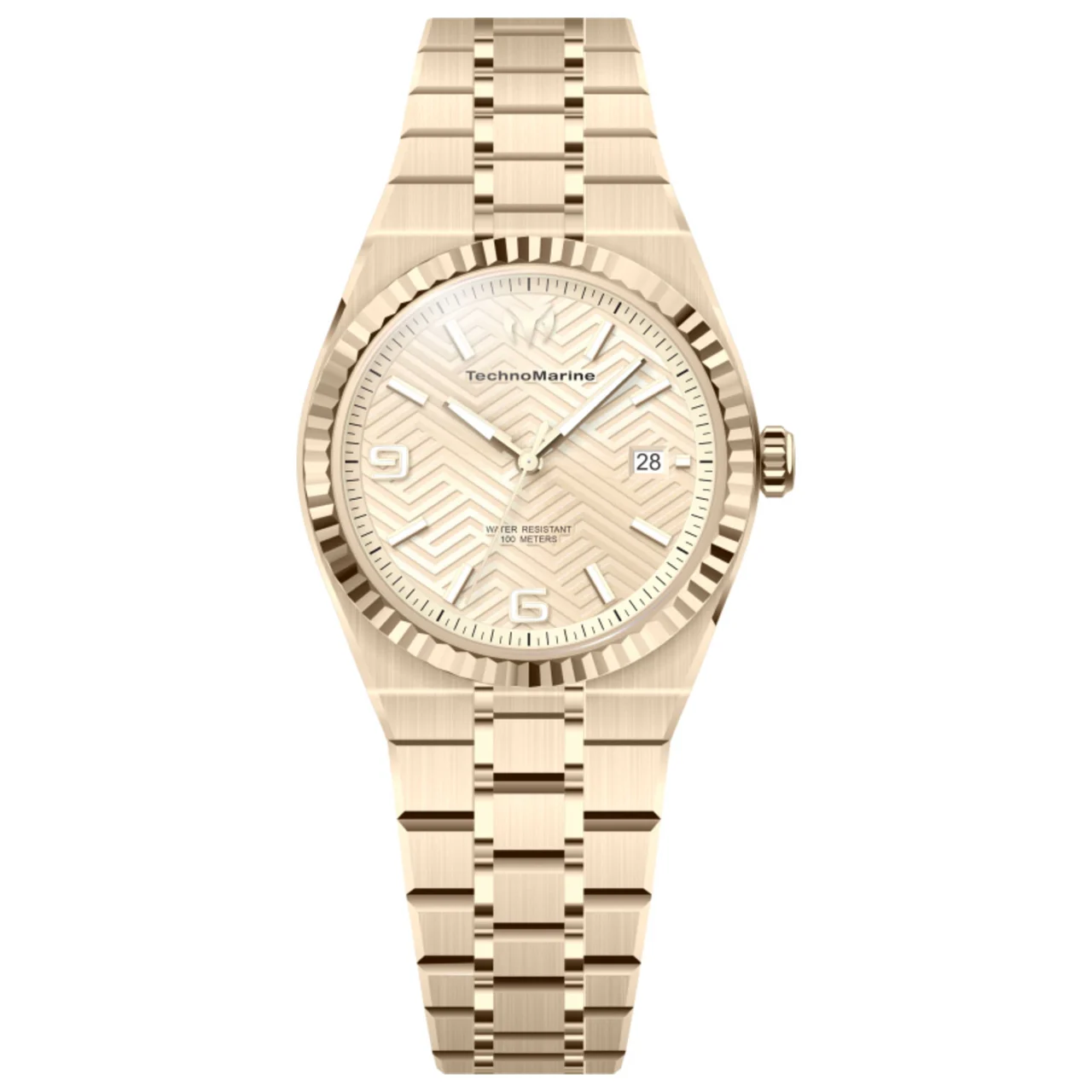 Technomarine Terra Nova Watch TM-225064 kol saati