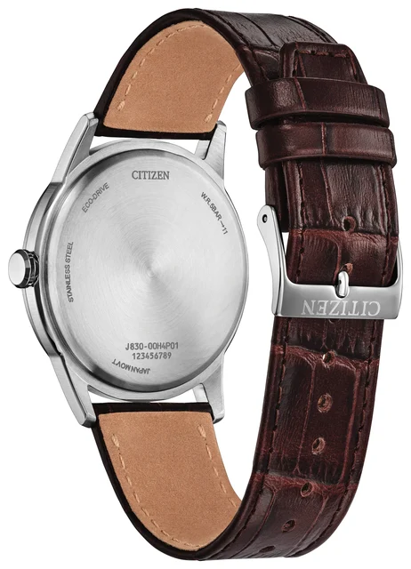 Citizen Rolan AW2110-14Z kol saati