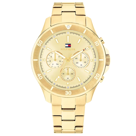 Tommy Hilfiger Aspen TH1782640 kol saati