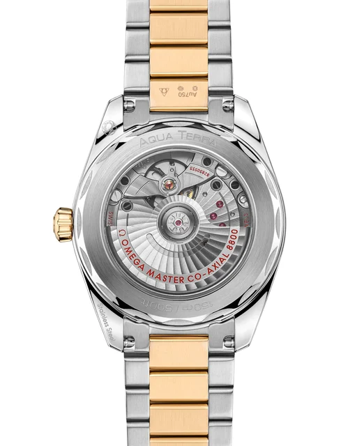OMEGA Seamaster Aqua Terra 150M 220.20.38.20.10.002 kol saati
