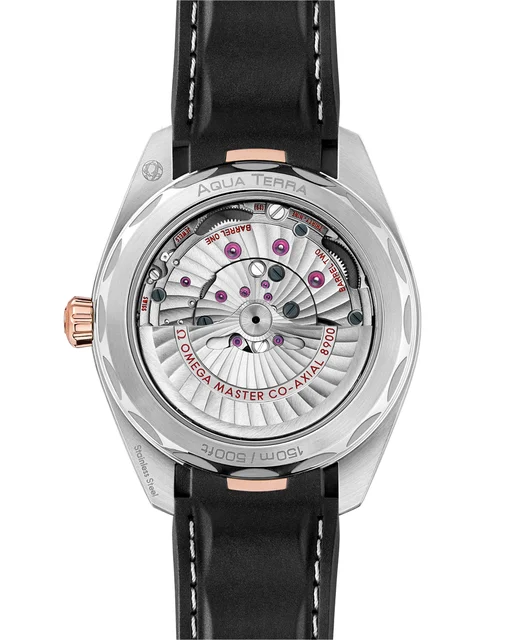 OMEGA Seamaster Aqua Terra 150M 220.22.41.21.02.001 kol saati
