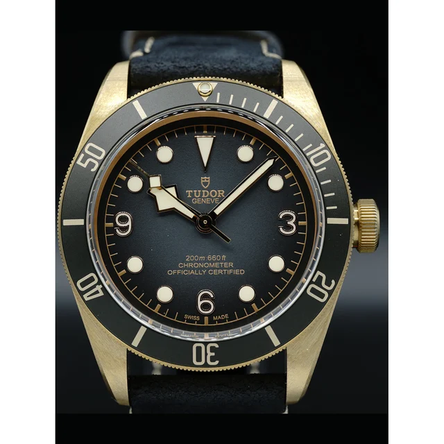 Tudor Heritage Black Bay 79250BA 210000020274 kol saati