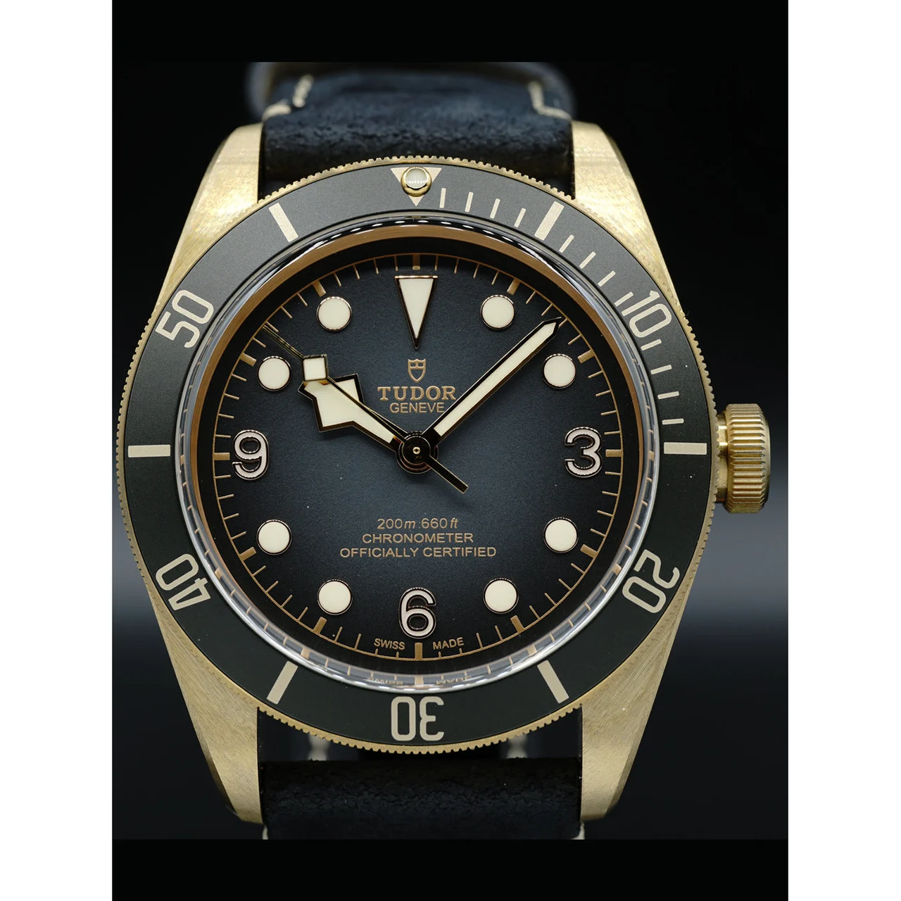 Tudor Heritage Black Bay 79250BA 210000020274 kol saati