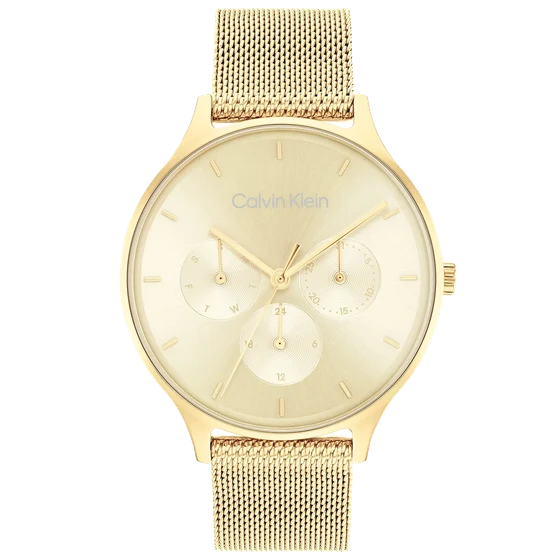 Calvin Klein Timeless Mesh CK25200103 kol saati