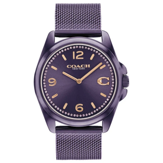 Coach Greyson Watch 14504145 kol saati
