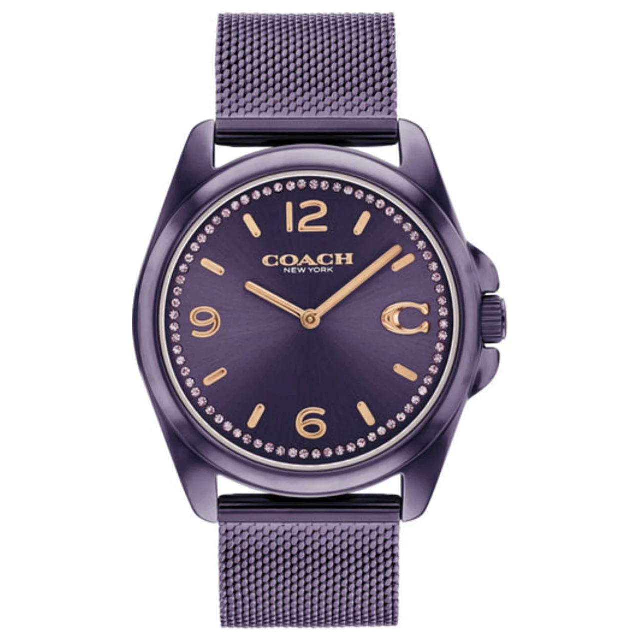 Coach Greyson Watch 14504145 kol saati