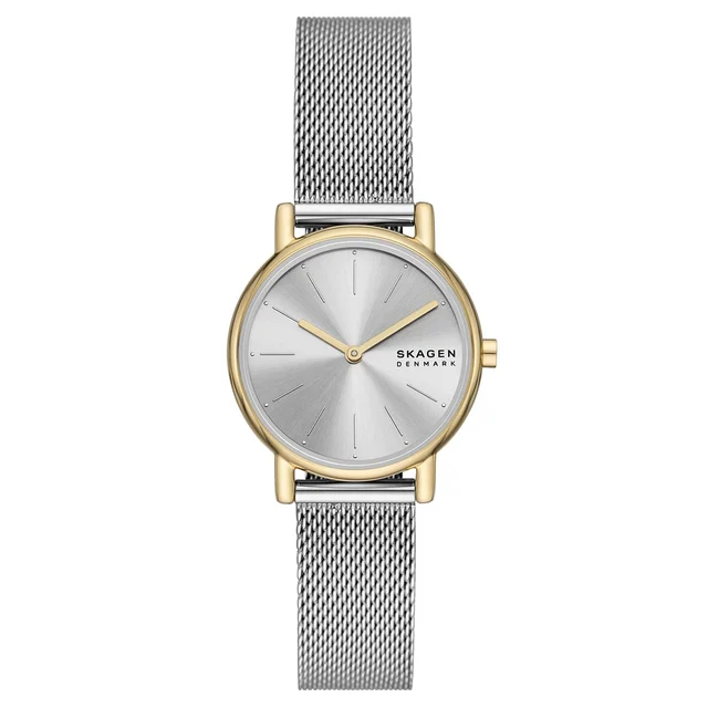 Skagen Bileklik Seti SKW3153SET kol saati