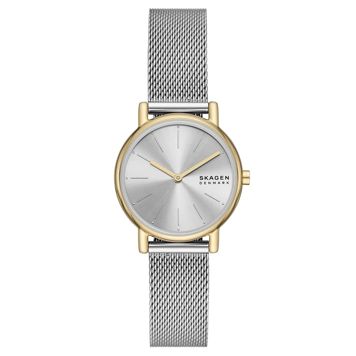 Skagen Bileklik Seti SKW3153SET 30 mm kol saati