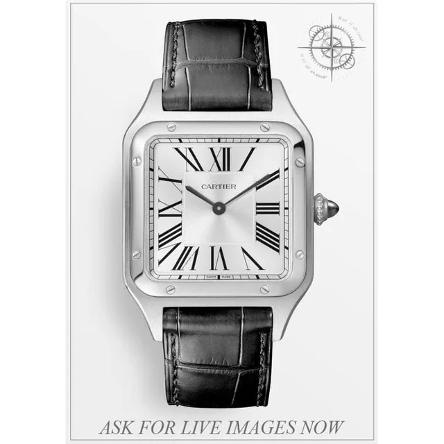 Cartier Santos Dumont W2SA0011 210009N31477 kol saati