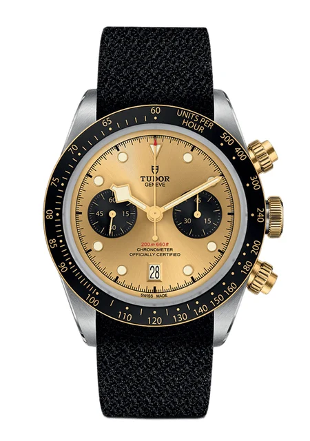 Tudor Black Bay 300584 kol saati
