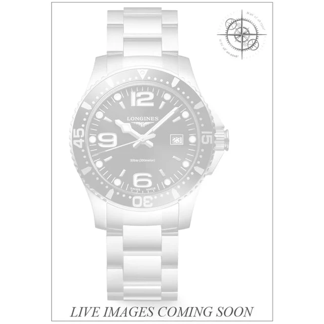 Longines HydroConquest Quartz 39mm 210000069399 kol saati