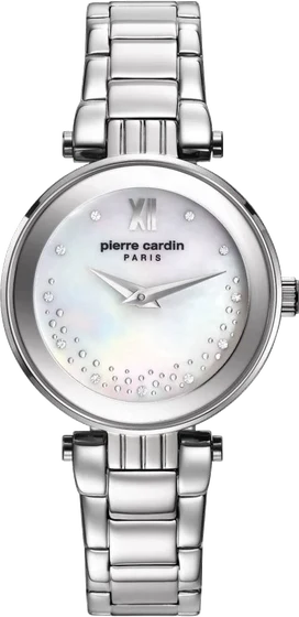 Pierre Cardin 108062F05 kol saati