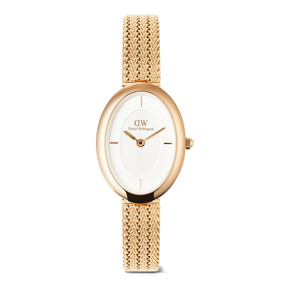 DANIEL WELLINGTON Juliette Braided Mesh White Sunray RG DW00600883 23 mm kol saati
