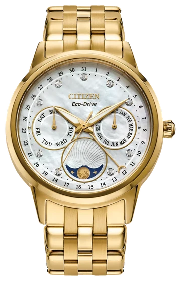 Citizen Calendrier FD0002-57D kol saati