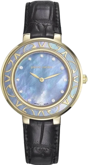 Pierre Cardin 107792S02 kol saati