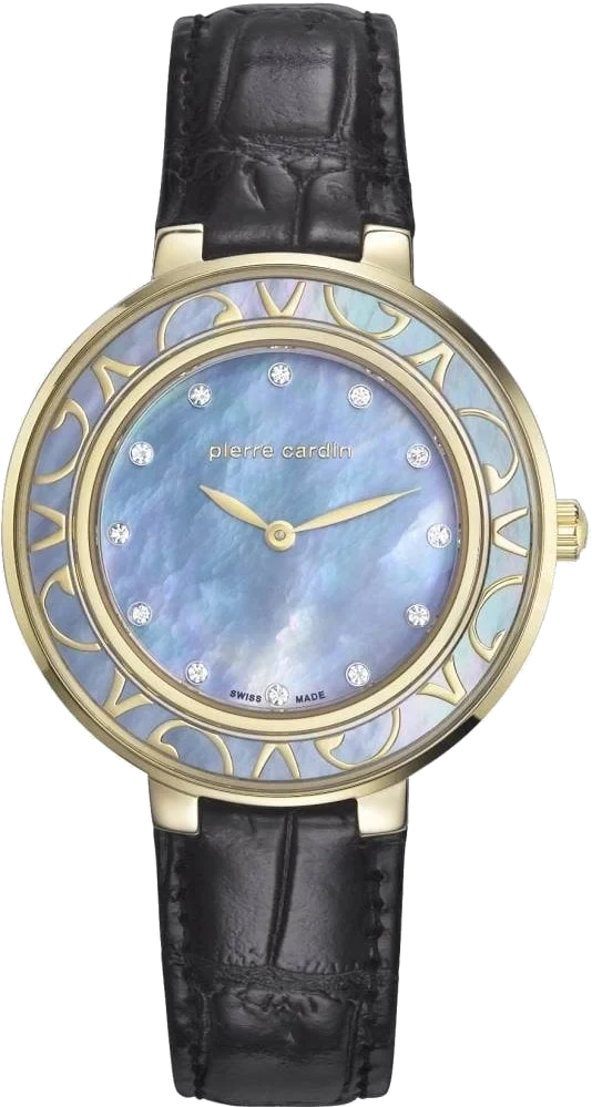 Pierre Cardin 107792S02 kol saati