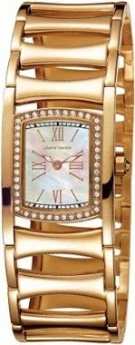 Pierre Cardin 100762X06 kol saati