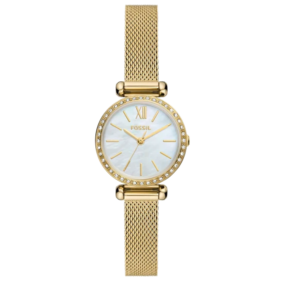 Fossil FBQ3898 kol saati