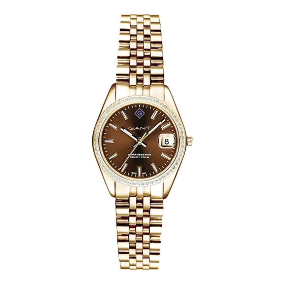 GANT G181103 kol saati
