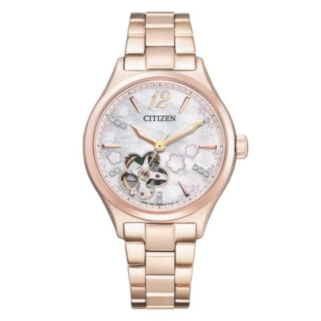 Citizen Citizen PC1018-69D kol saati
