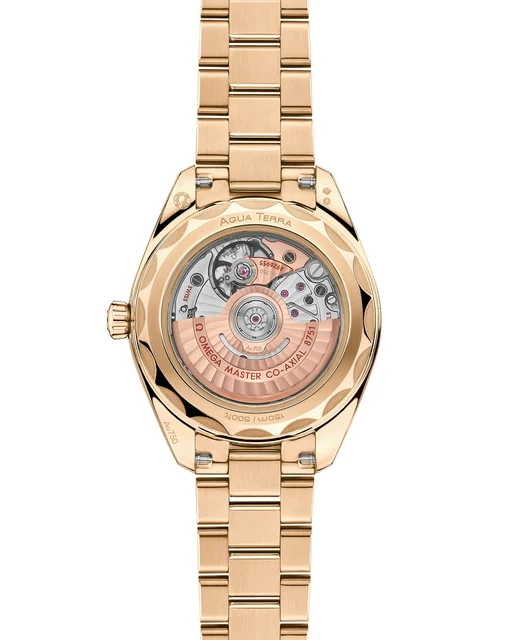 OMEGA Seamaster Aqua Terra 150M 220.50.30.20.08.001 kol saati