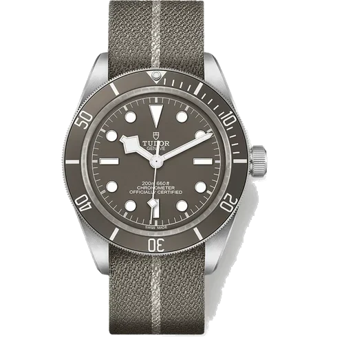 Tudor Black Bay 58 925 M79010SG-0002 kol saati