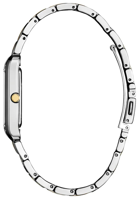 Citizen Addysen BJ6574-59E kol saati