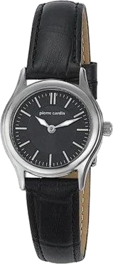 Pierre Cardin 104812F02 kol saati