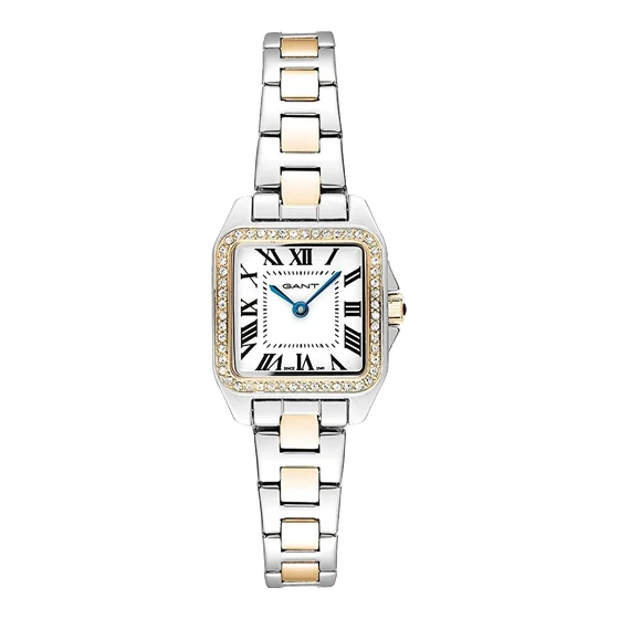 GANT G193102 kol saati