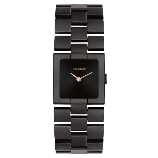 Calvin Klein CK Meridian CK25100091 kol saati