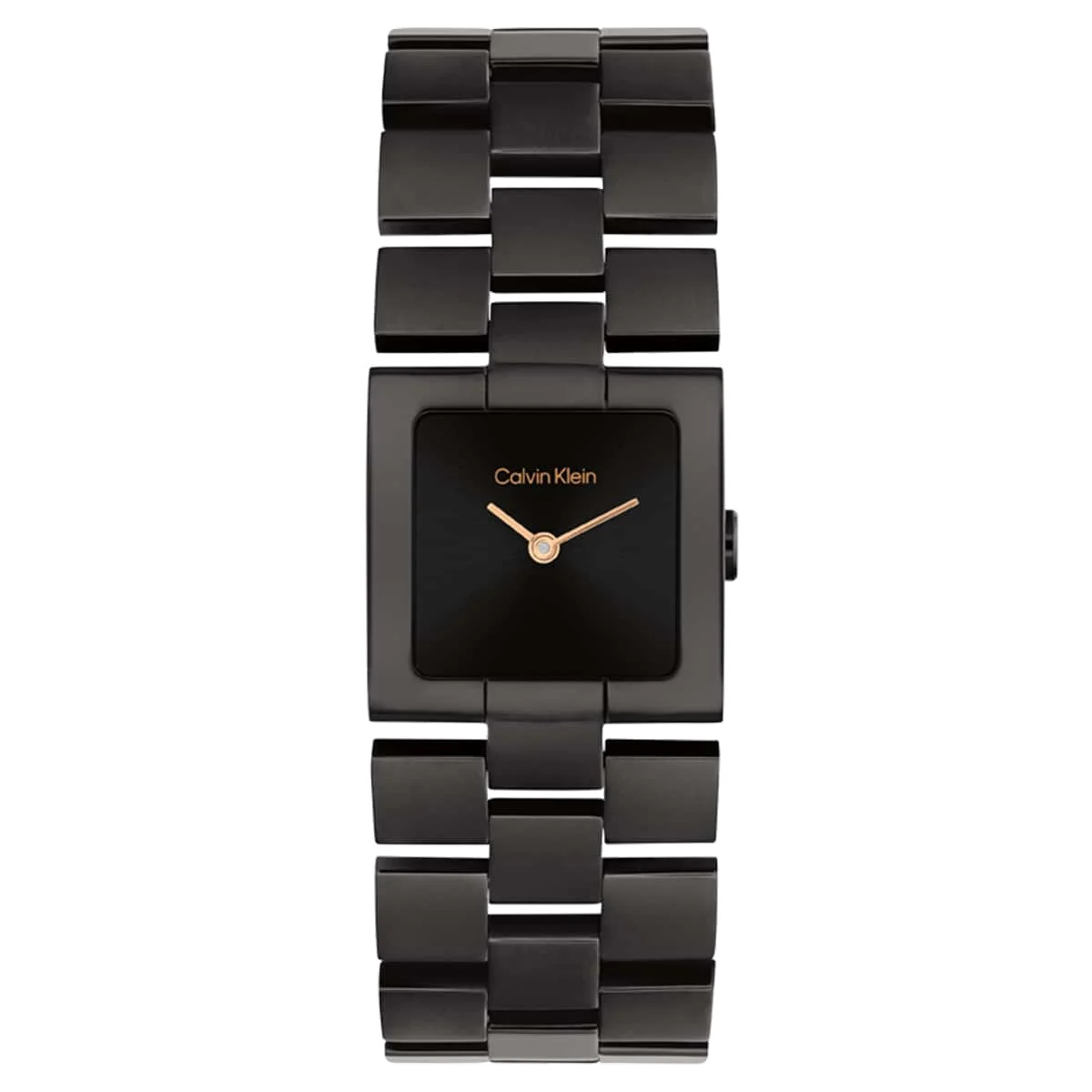 Calvin Klein CK Meridian CK25100091 22 mm kol saati