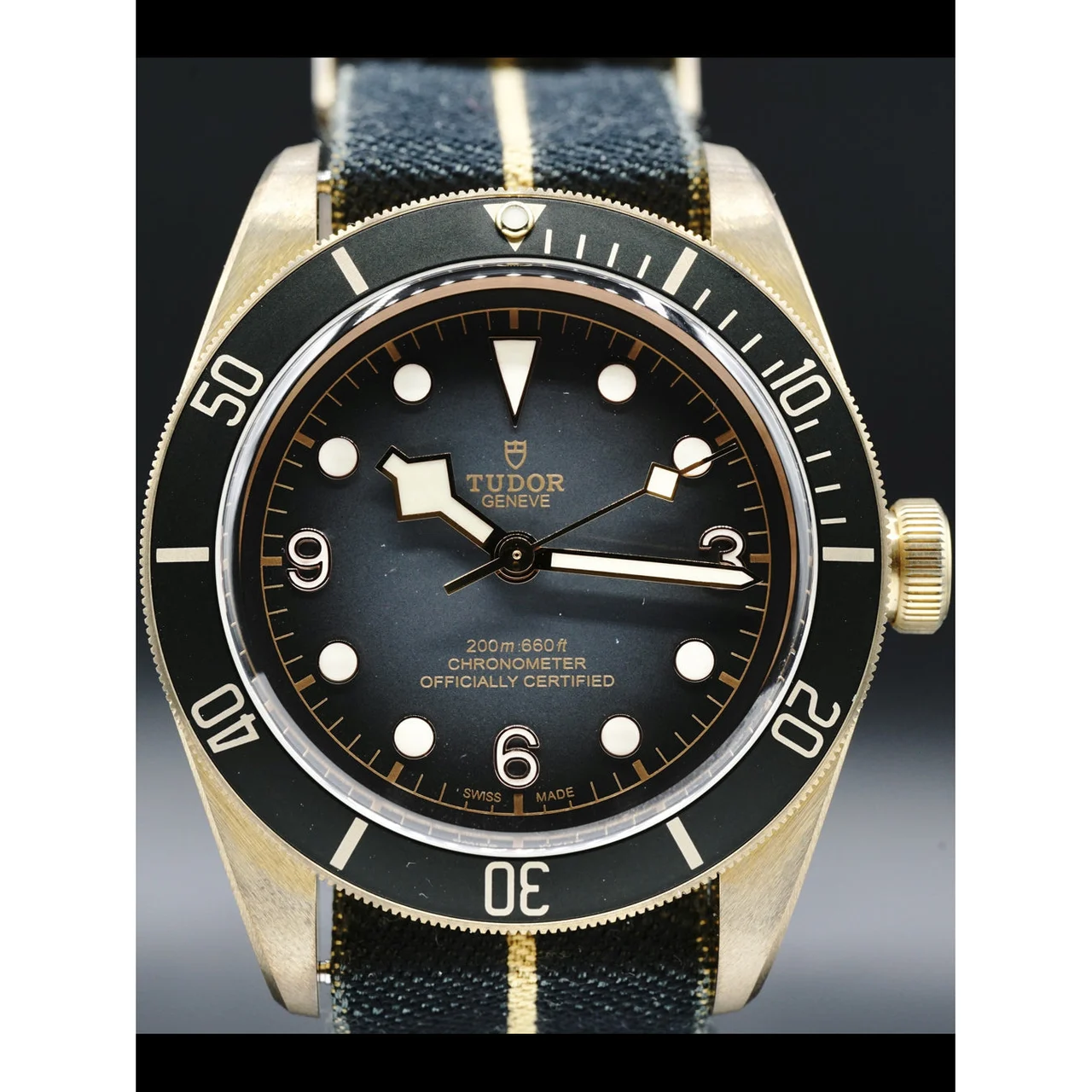 Tudor Heritage Black Bay 79250BA 210000018224 43 mm kol saati