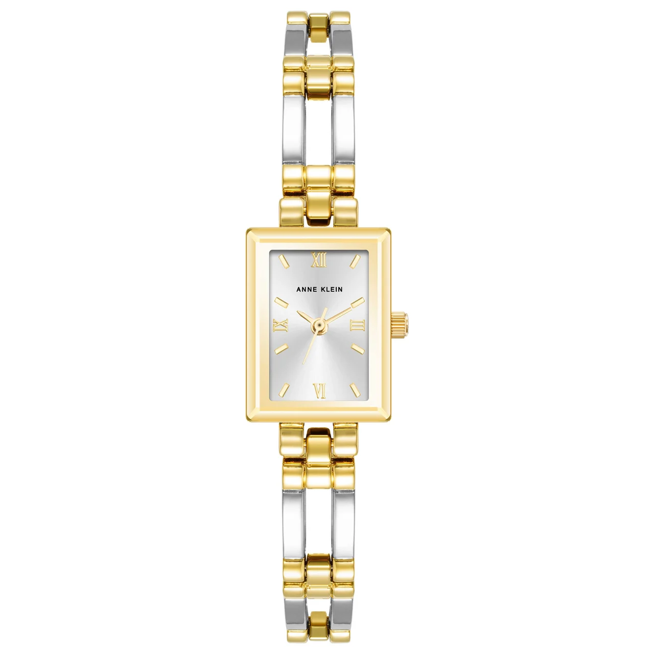 Anne Klein Classic Watch 10-4899SVTT kol saati